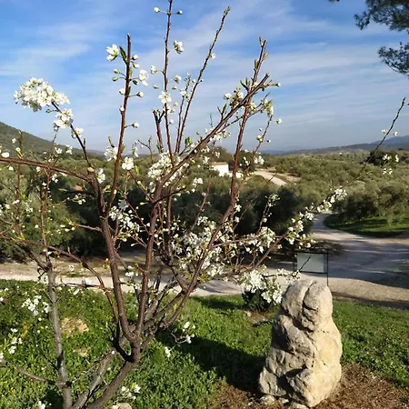 Cortijo Los Petronilos Сasa de vacaciones Las Lagunillas